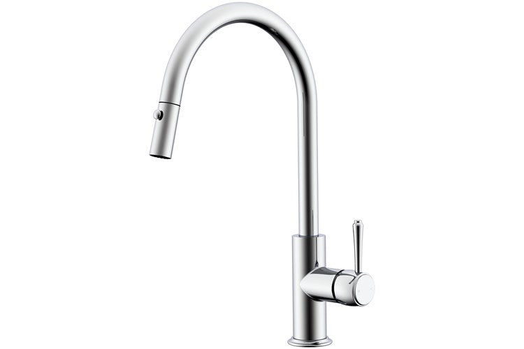 Eternal Pull Out Kitchen Mixer