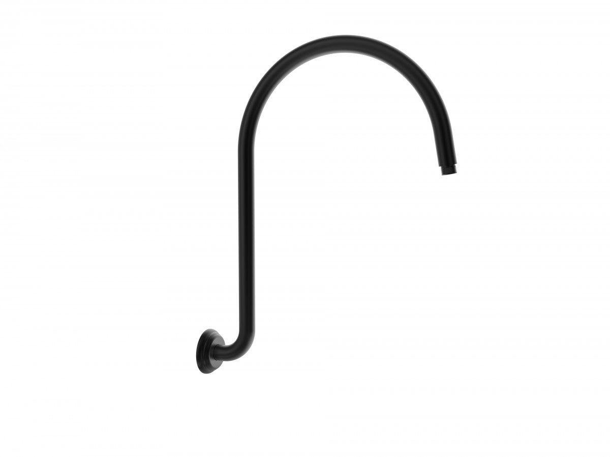 Clasico Gooseneck Shower Arm