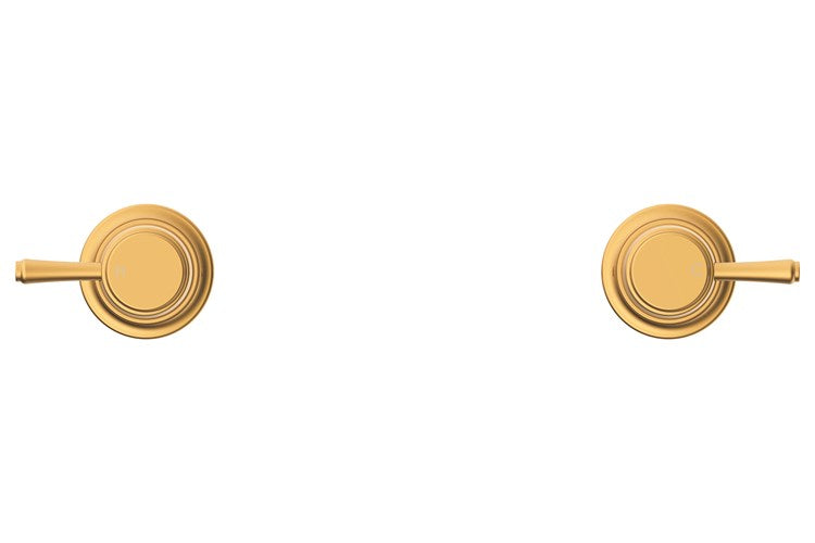 Eternal Wall Top Assembly (pr) Brushed Brass