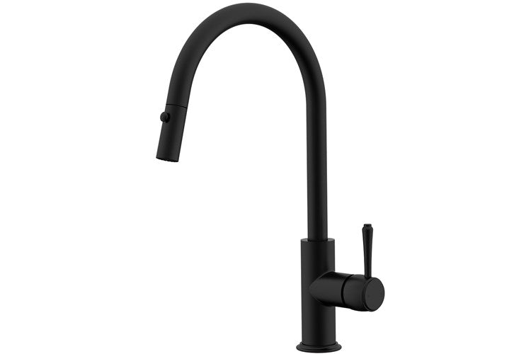 Eternal Pull Out Kitchen Mixer