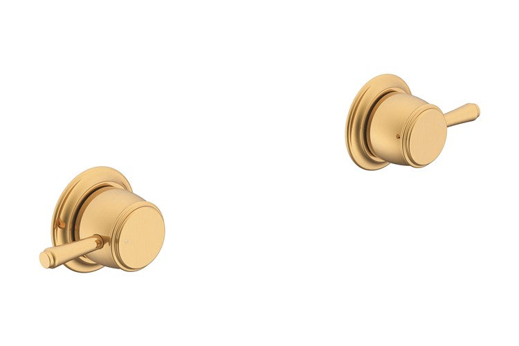 Eternal Wall Top Assembly (pr) Brushed Brass